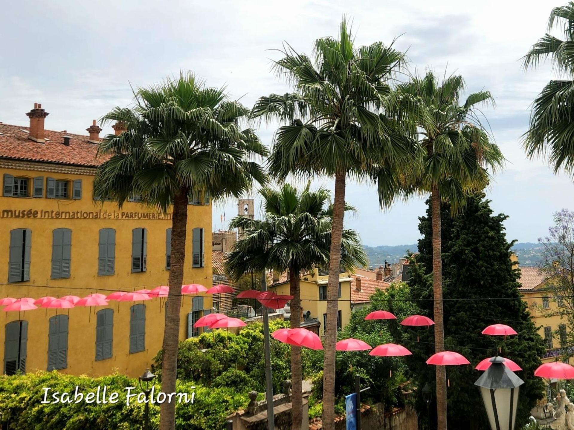 2 Pieces, Proche Centre Ville, Gip Asfo, Jardin Et Parking Privatifs Grasse Exterior foto