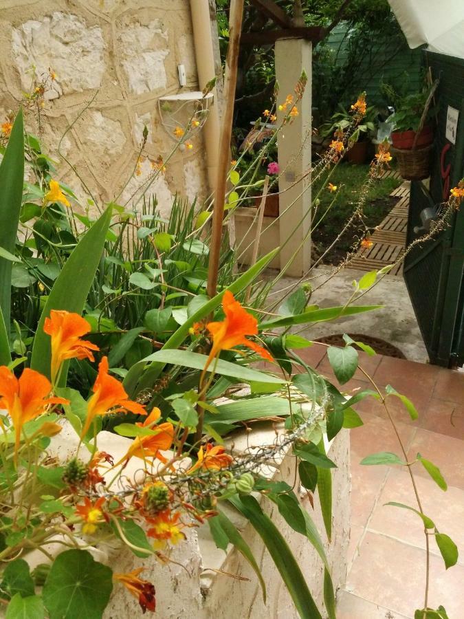 2 Pieces, Proche Centre Ville, Gip Asfo, Jardin Et Parking Privatifs Grasse Exterior foto